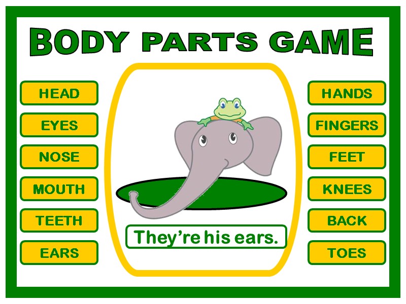 BODY PARTS GAME HEAD EYES NOSE MOUTH TEETH EARS HANDS FINGERS FEET KNEES BACK